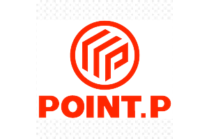 Point P